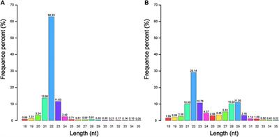 Sex-Biased miRNAs in the Gonads of Adult Chinese Alligator (Alligator sinensis) and Their Potential Roles in Sex Maintenance